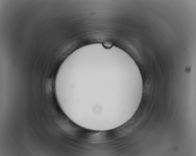 X0000100370122200807031911