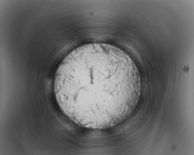 X0000100370123200807031911