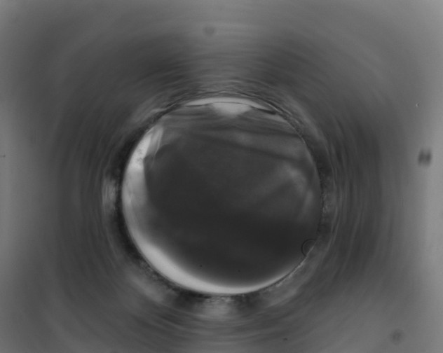 X0000100370124200807031911