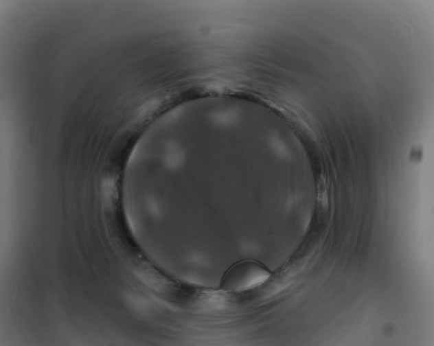 X0000100370127200807031911