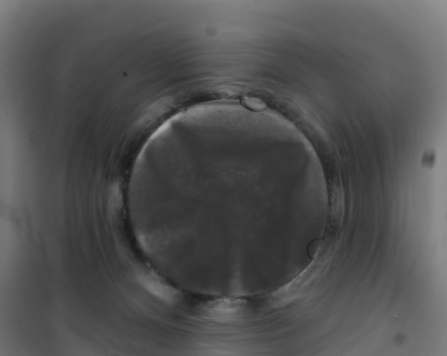 X0000100370128200807031911