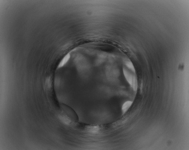 X0000100370131200807031911