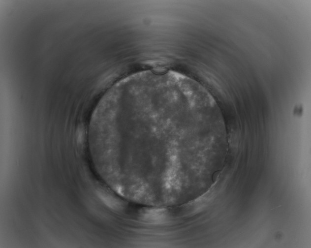 X0000100370132200807031911