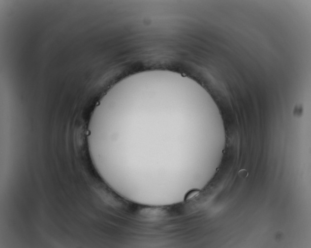 X0000100370133200807031911