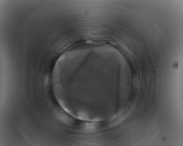 X0000100370134200807031911