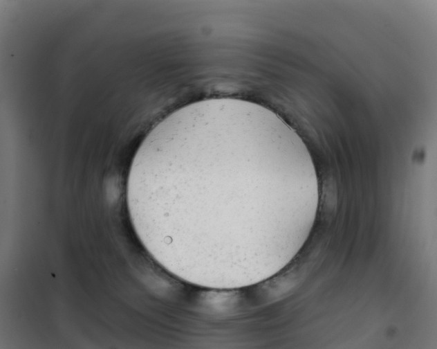 X0000100370135200807031911