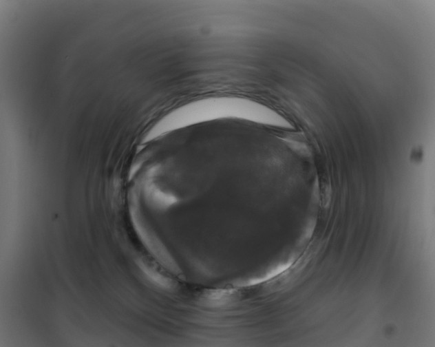 X0000100370136200807031911