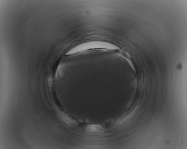 X0000100370137200807031911