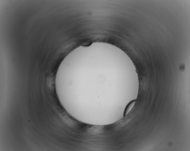 X0000100370138200807031911