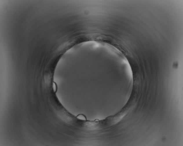 X0000100370139200807031911