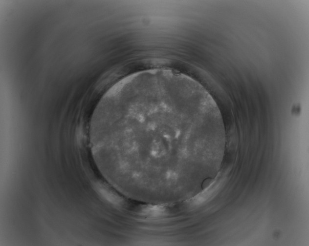 X0000100370140200807031911