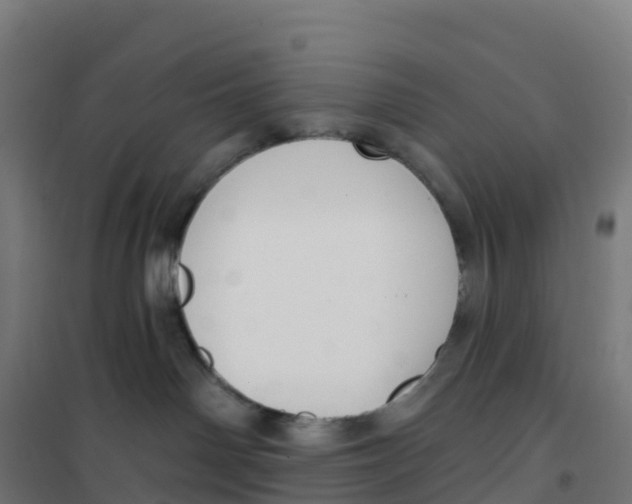 X0000100370142200807031911