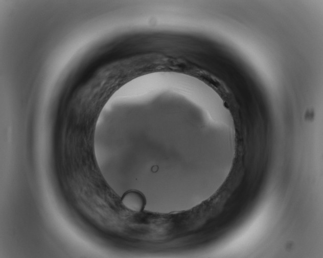 X0000100370143200807031911