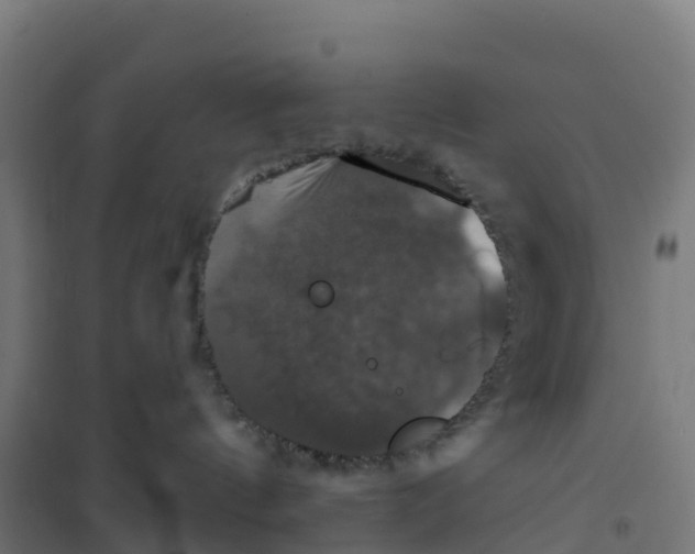 X0000100370144200807031911