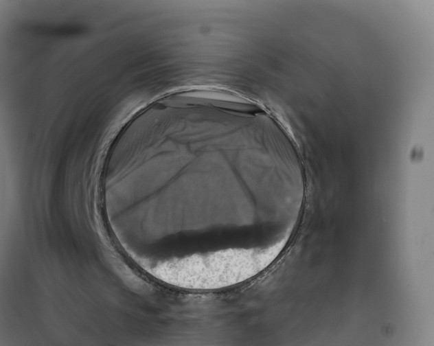 X0000100370145200807031910