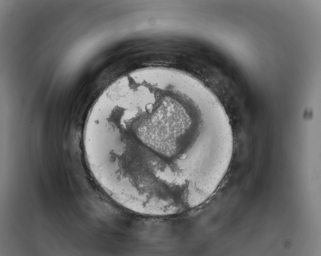 X0000100370146200807031910