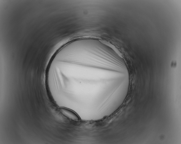 X0000100370148200807031910