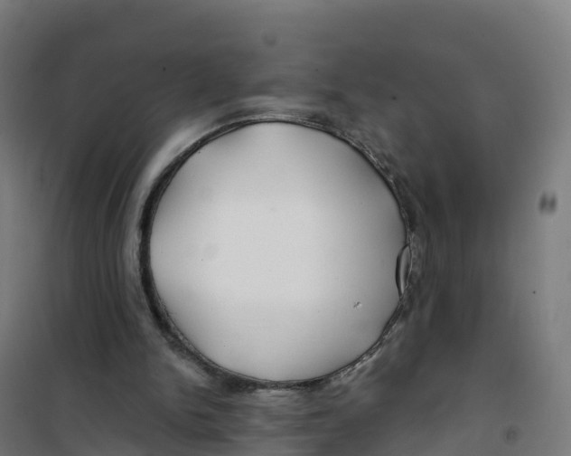 X0000100370150200807031910