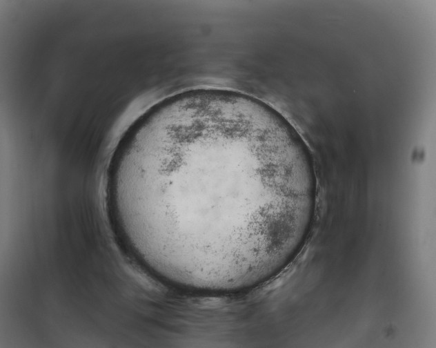 X0000100370151200807031910