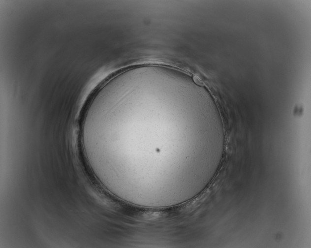 X0000100370152200807031910