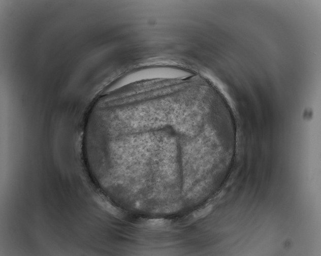 X0000100370153200807031910