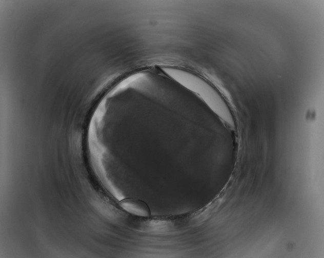 X0000100370154200807031910