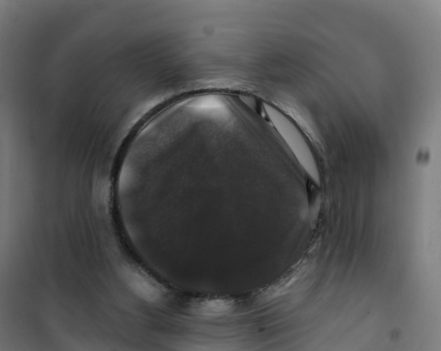 X0000100370156200807031910