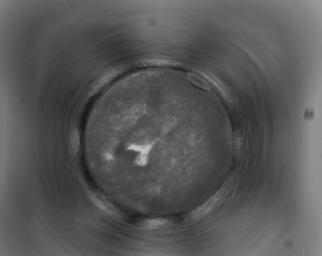 X0000100370158200807031910