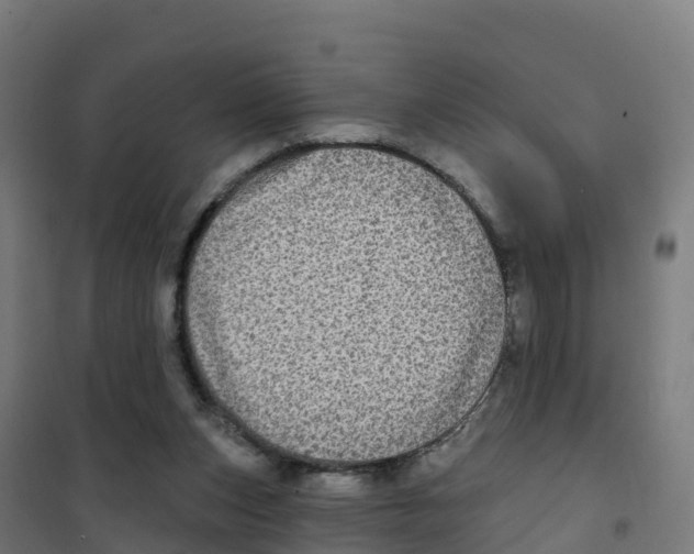 X0000100370159200807031910