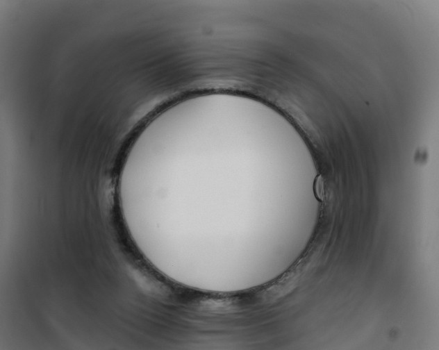 X0000100370160200807031910