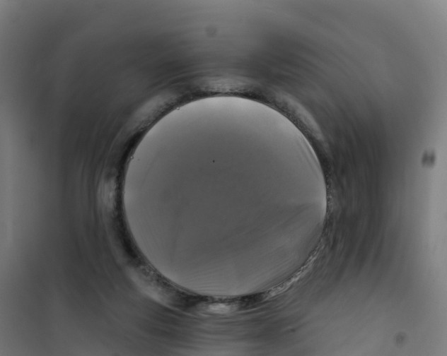 X0000100370163200807031910