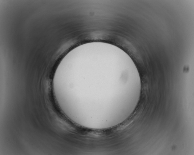 X0000100370164200807031910