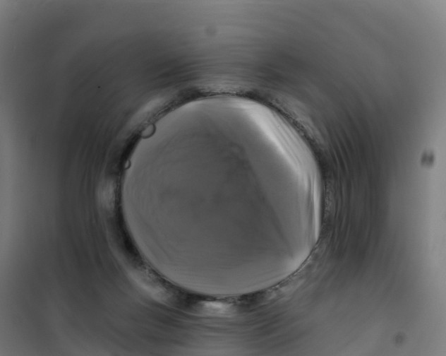 X0000100370167200807031910