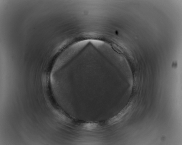 X0000100370168200807031910