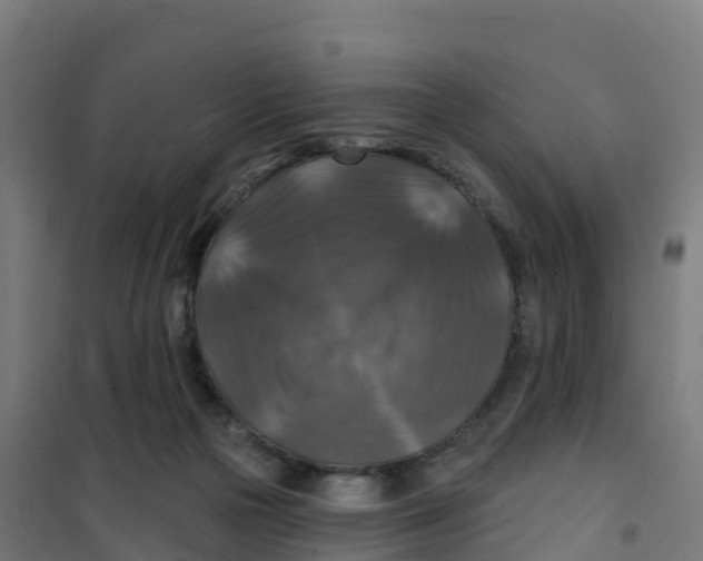 X0000100370169200807031910