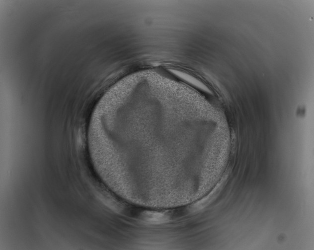 X0000100370170200807031910