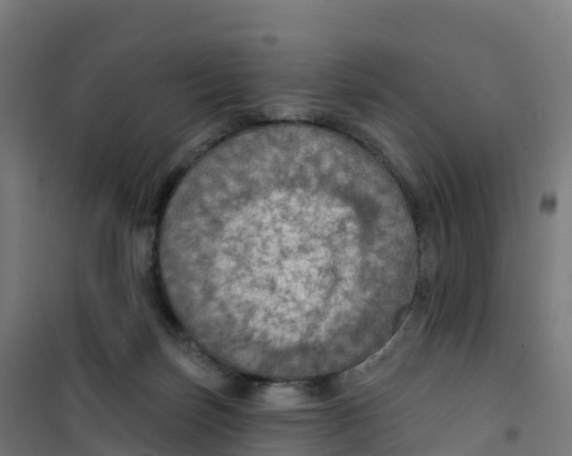 X0000100370171200807031910