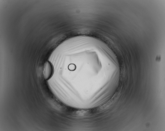 X0000100370172200807031910