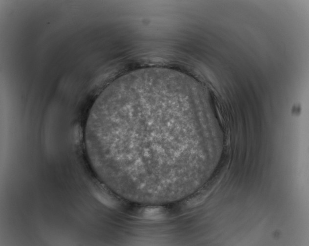 X0000100370173200807031910