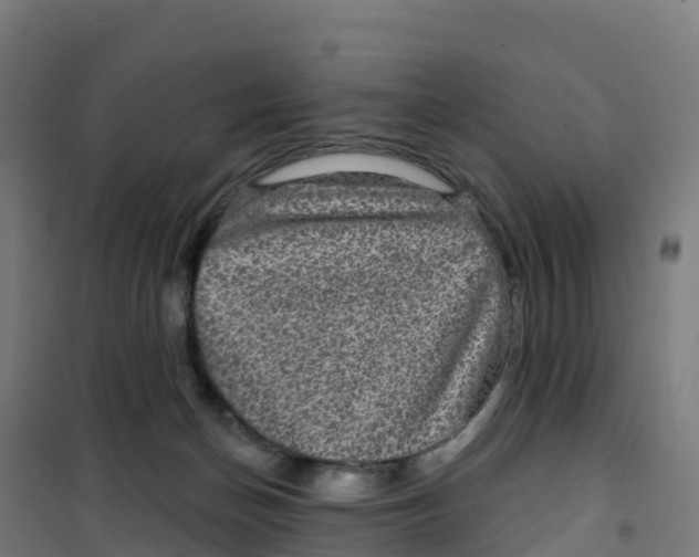 X0000100370174200807031910