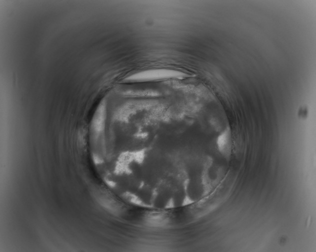 X0000100370175200807031910