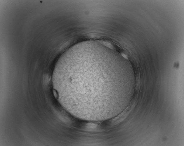 X0000100370176200807031910