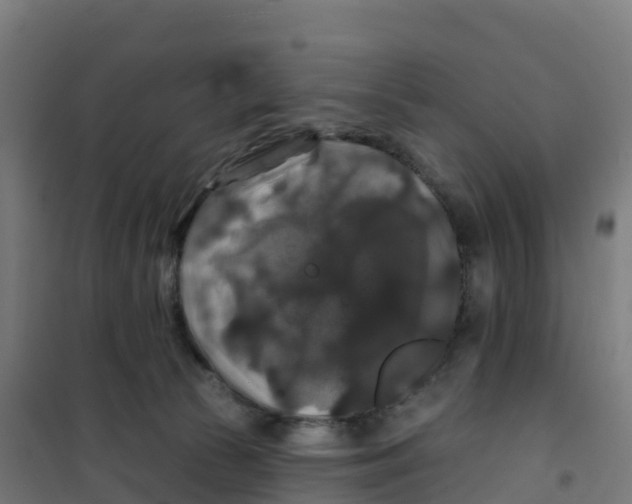 X0000100370177200807031910