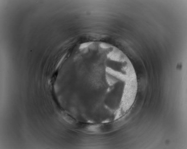 X0000100370178200807031910