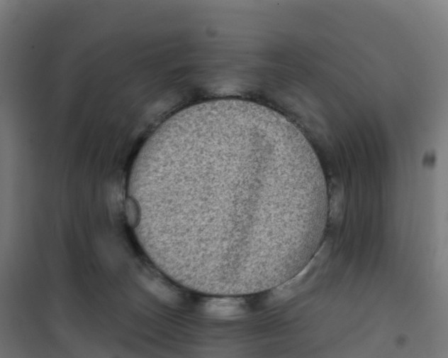 X0000100370179200807031910