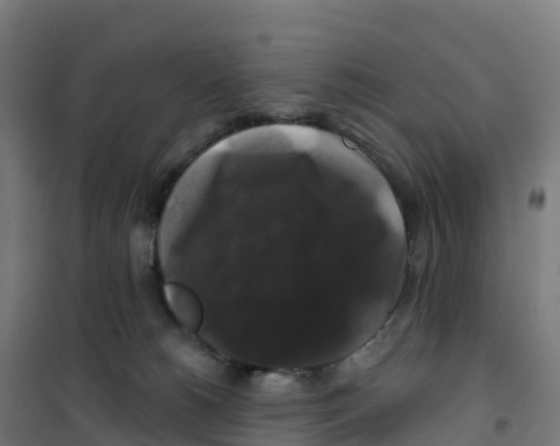 X0000100370180200807031910