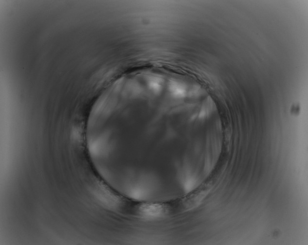 X0000100370181200807031910