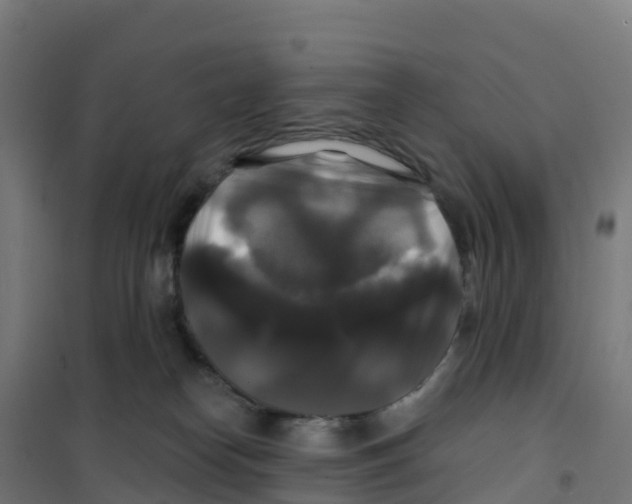 X0000100370182200807031910