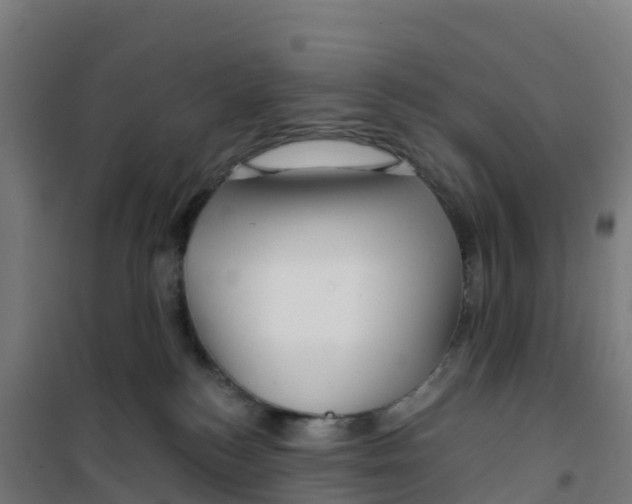 X0000100370184200807031910