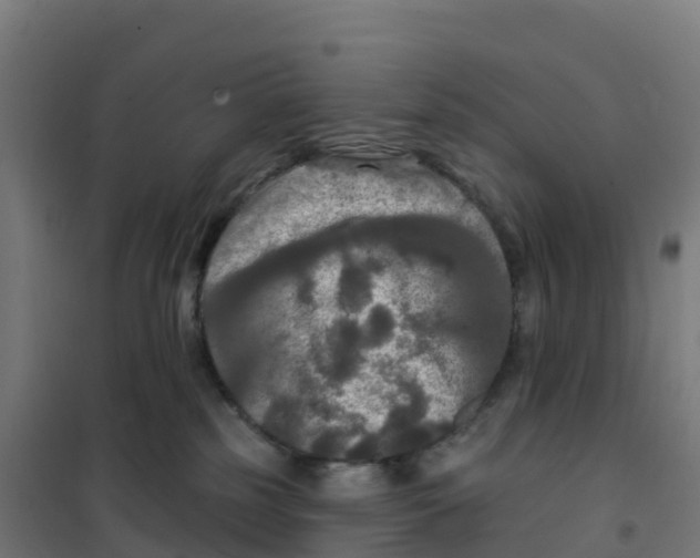 X0000100370185200807031910